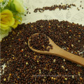 Millet noir de sorgho noir millet avec le prix concurrentiel 2016 récolte